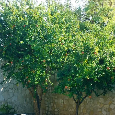 Dafne Maison d'hôtes Bari