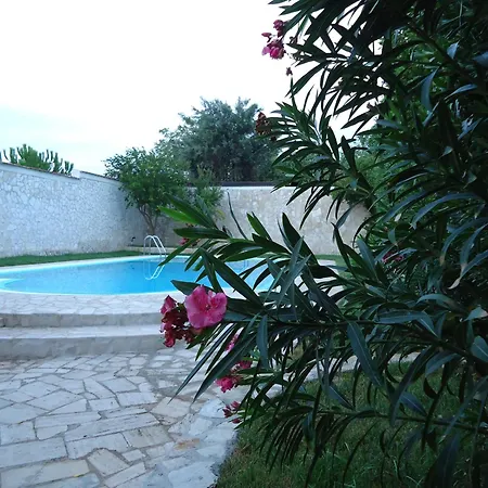 Dafne בארי